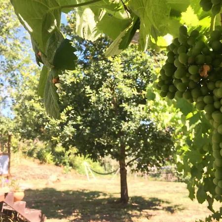 Star Gazing Luxury Yurt Above Beautiful River, Off Grid Glamping *