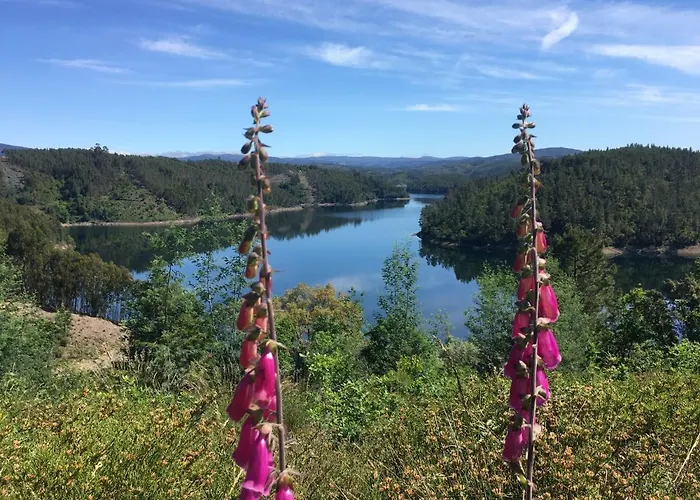 Star Gazing Luxury Yurt Above Beautiful River, Off Grid Vale do Barco