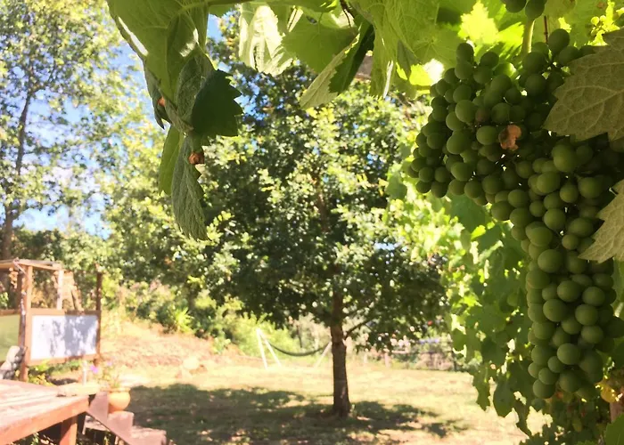 Star Gazing Luxury Yurt Above Beautiful River, Off Grid Lyxtält *